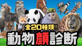 【動物顔診断】あなたの顔タイプは全20種類の「動物」のどれかな？